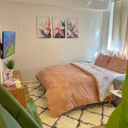 Studio, T2 Ou T3 Au Coeur De La Apartmán