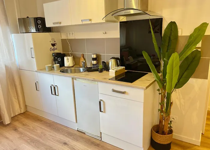 Studio, T2 Ou T3 Au Coeur De La *