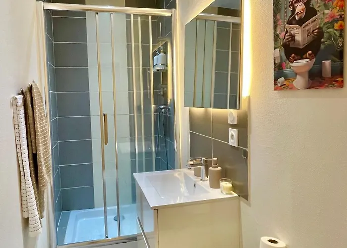 Studio, T2 Ou T3 Au Coeur De La