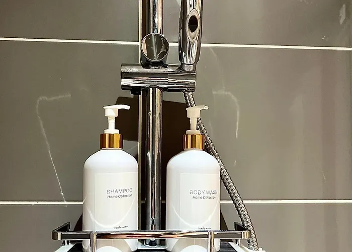 아파트 Studio, T2 Ou T3 Au Coeur De La