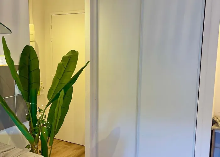 Studio, T2 Ou T3 Au Coeur De La 아파트 *