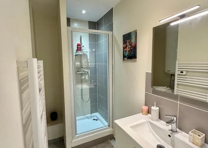 Studio, T2 Ou T3 Au Coeur De La 아파트 *